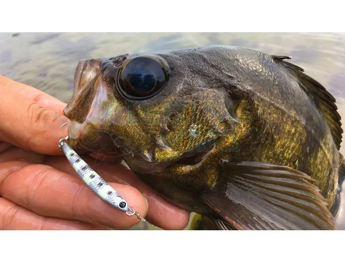 Tict Przynęty Cool Jig 2 Tict Przynęty Cool Jig - obrazek 2