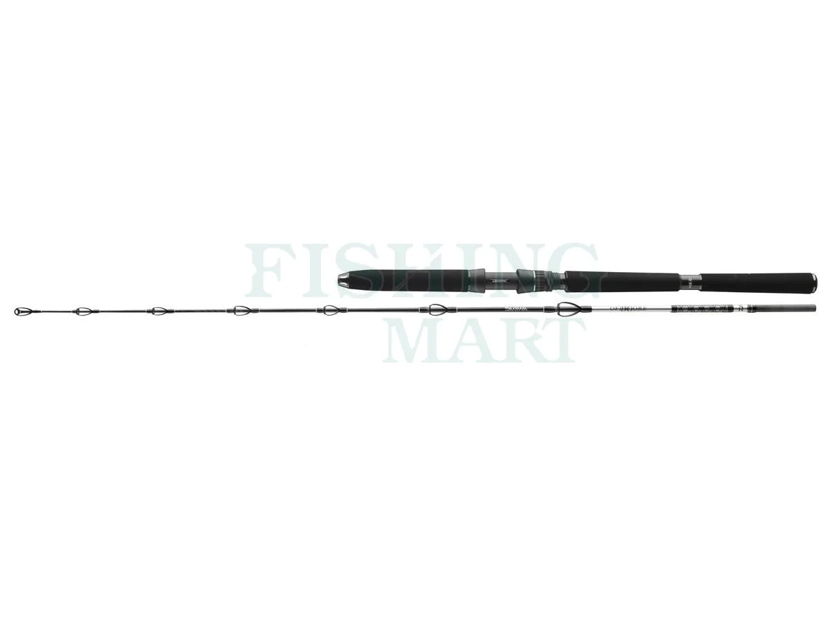 Daiwa Wędki Morskie BG Deep Sea 1 Daiwa Wędki Morskie BG Deep Sea